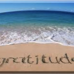 How gratitude saved my life